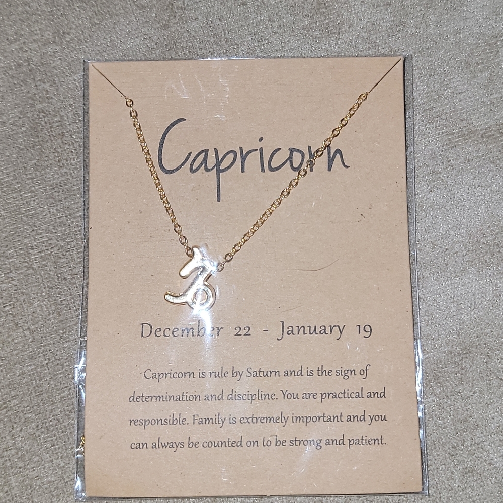 Gold Zodiac Necklace Capricorn